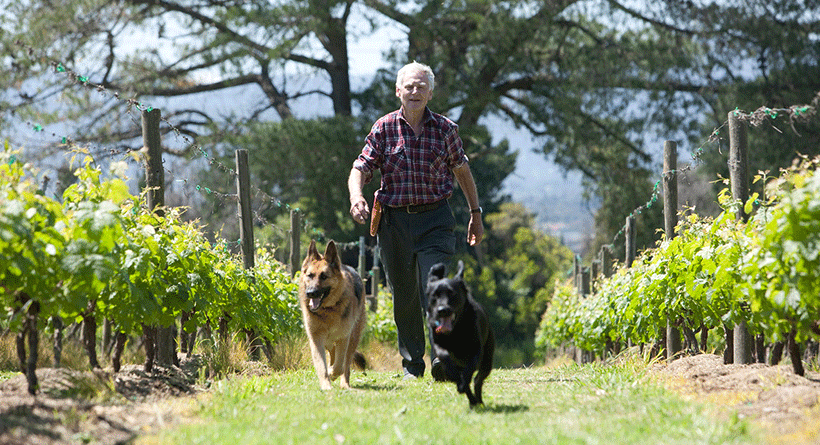 Wantirna Estate Winemaker